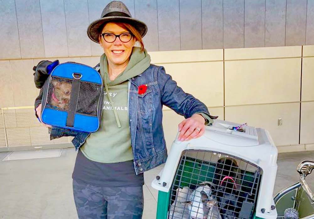 destination wedding specialist